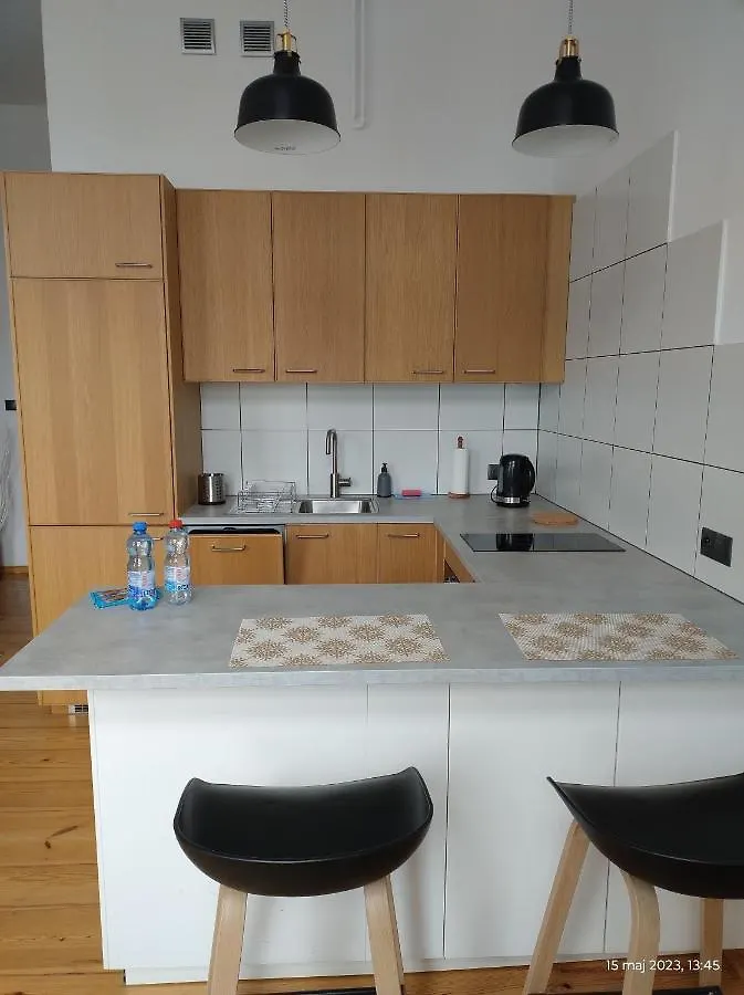 Apartament Glogowska, Blisko Mtp, Klucz W Skrytce Apartment Poznan